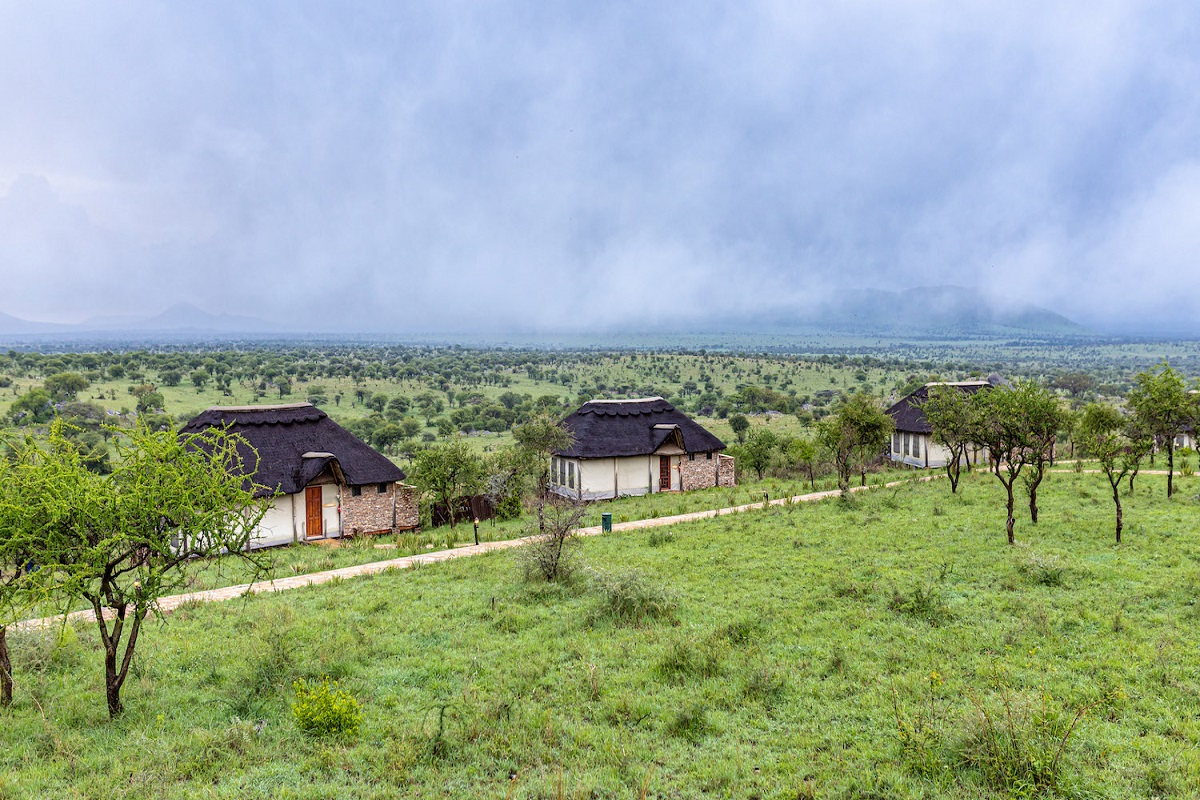 SERENGETI SAFARI LODGE