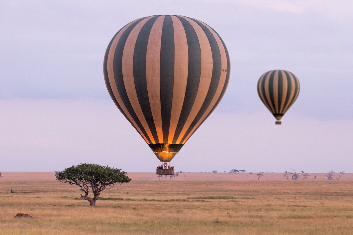 Tanzania is Safe for wheelchair usersSpotted in Serengeti Safaris is a premier local tour operator specializing in unforgettable wildlife adventures in Tanzania. Based in the heart of the Serengeti, we offer expertly guided safaris to.Read More>>