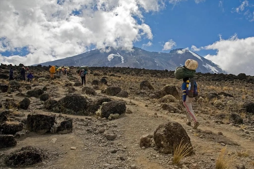 on-the-shira-plateau-by-brigitte-djajasasmita-in-mount-kilimanjaro_6152691_l