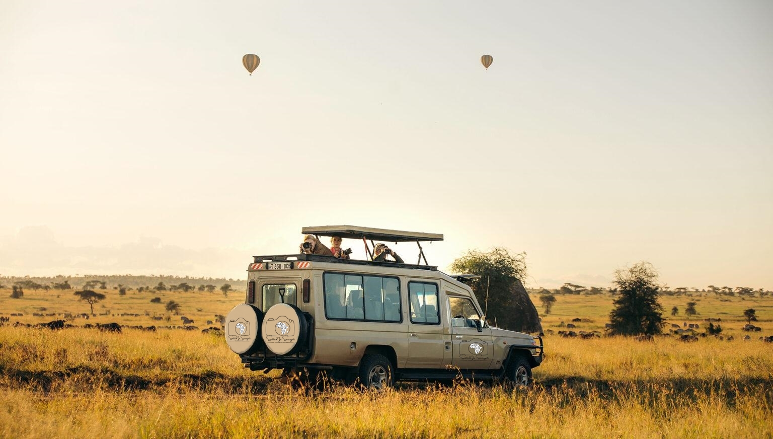 Spotted in Serengeti Safaris